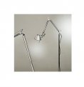 TOLOMEO LETTURA